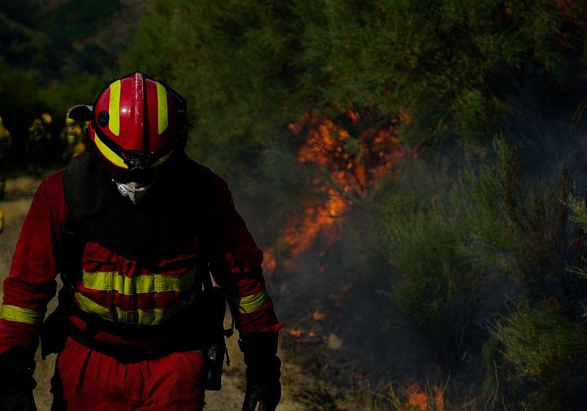 Efectivos de la UME trabajan en el incendio de Jarilla (Cáceres).