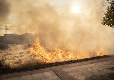El detenido por prender fuego junto al Puente Real llegará hoy ante el juez