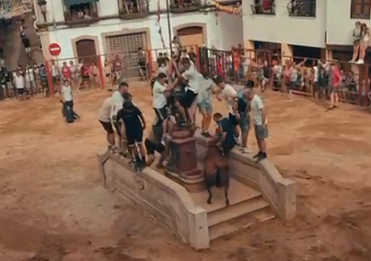 Un corneado obliga a suspender la capea en Valverde del Fresno hasta el regreso de la ambulancia