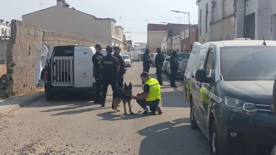 Agentes de la Policía Nacional y la Guardia Civil, en el operativo de Las Moreras este miércoles.
