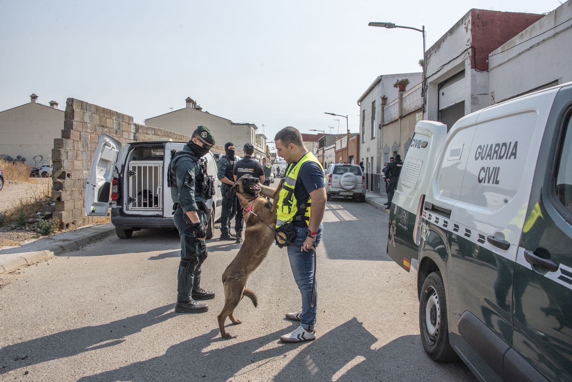 Fotos | Así ha sido la redada de las Moreras