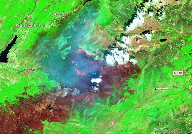 Frente abierto, al detalle.