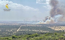 El origen del incendio en Casas de Don Pedro tuvo lugar en el interior de una planta fotovoltaica