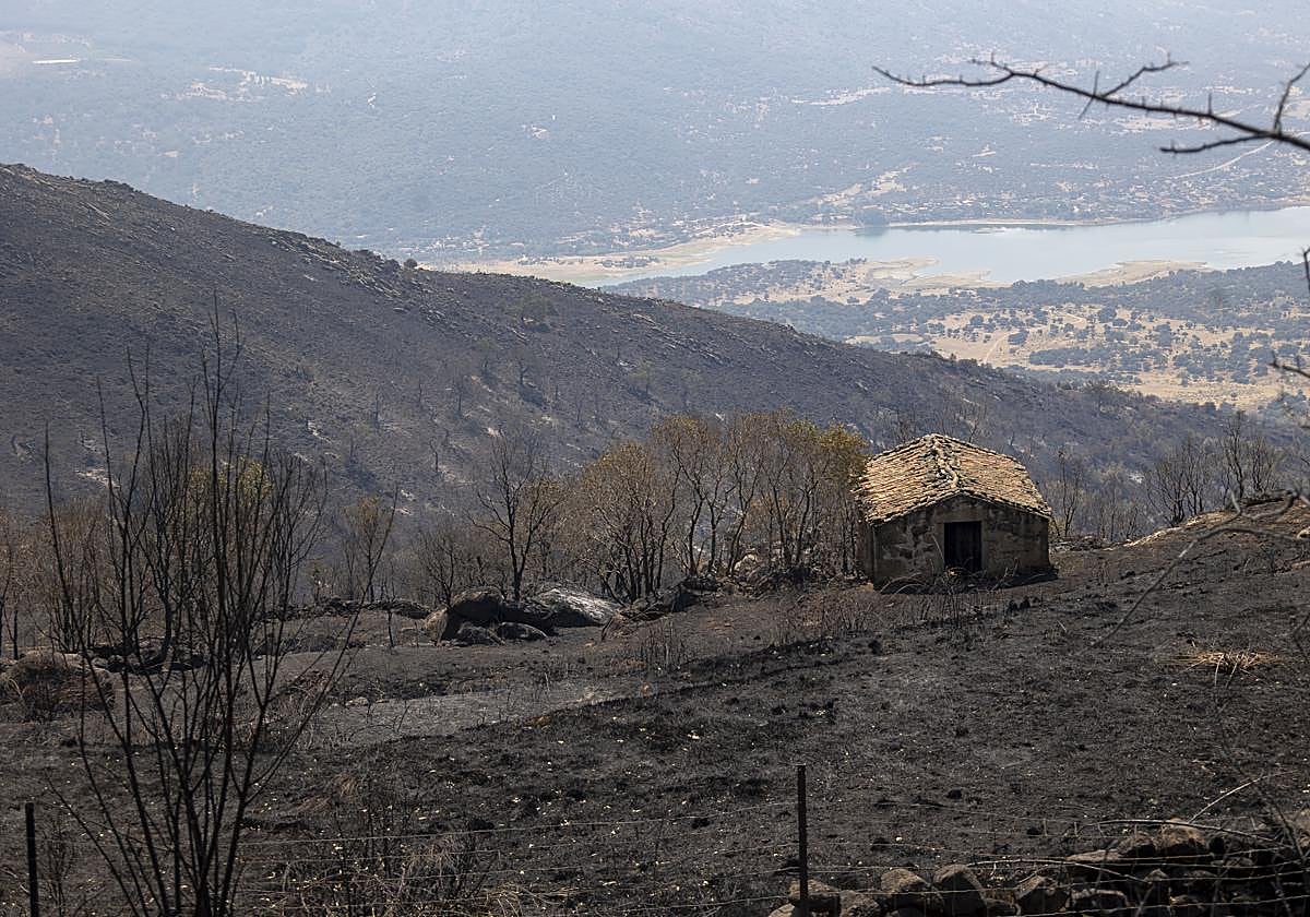 Terrenos calcinados por el incendio de Jarilla