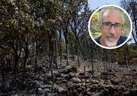 Bosque quemado por el megaincendio de Jarilla, en el círculo el catedrático de Ciencias del Suelo de la UEx Gerardo Moreno.