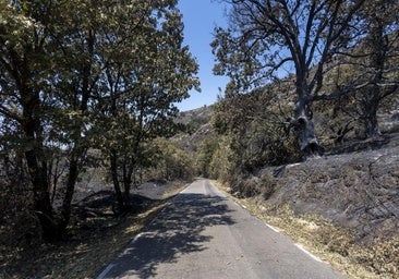 Extremadura es la tercera región con más hectáreas quemadas en la ola de incendios, con 44.480, según Copernicus