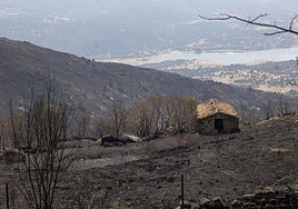 Terrenos calcinados por el incendio de Jarilla