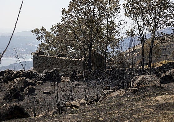Zona afectada por el incendio de Jarilla.