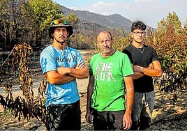 Jesús Olmedo junto a sus hijos Álvaro y Pablo en su finca del Valle del Jerte rodeados de cerezos abrasados por el fuego.