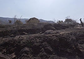 Zona quemada por el fuego.