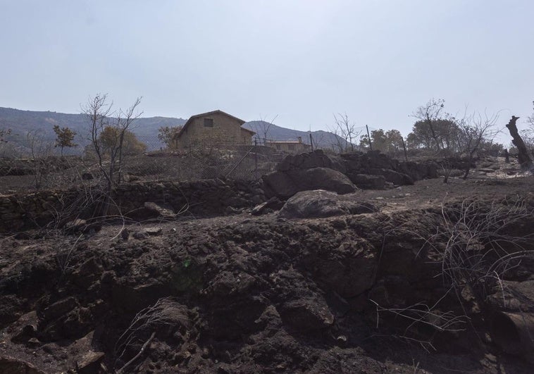 La Junta de Extremadura desactiva el Plan Infocaex tras dar por neutralizado el incendio de Jarilla