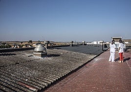 Las cubiertas del Materno Infantil, que se van a cambiar a partir de este martes.