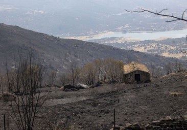 La Junta defiende sus inversiones en gestión forestal tras los incendios de agosto