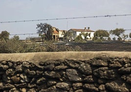 Terreno arrasado por el fuego en Casar de Cáceres.