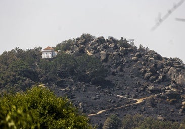 Los fuegos calcinaron en diez días el cuádruple de hectáreas que en todo el verano pasado