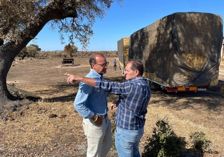 Cáceres entrega 25.000 kilos de heno a ganaderos afectados por fuegos en Aldea del Cano y Torremocha