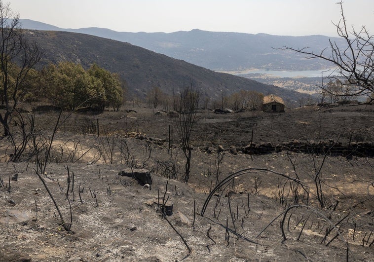Los alcaldes de las zonas catastróficas de Extremadura: «Es duro volver a la normalidad»