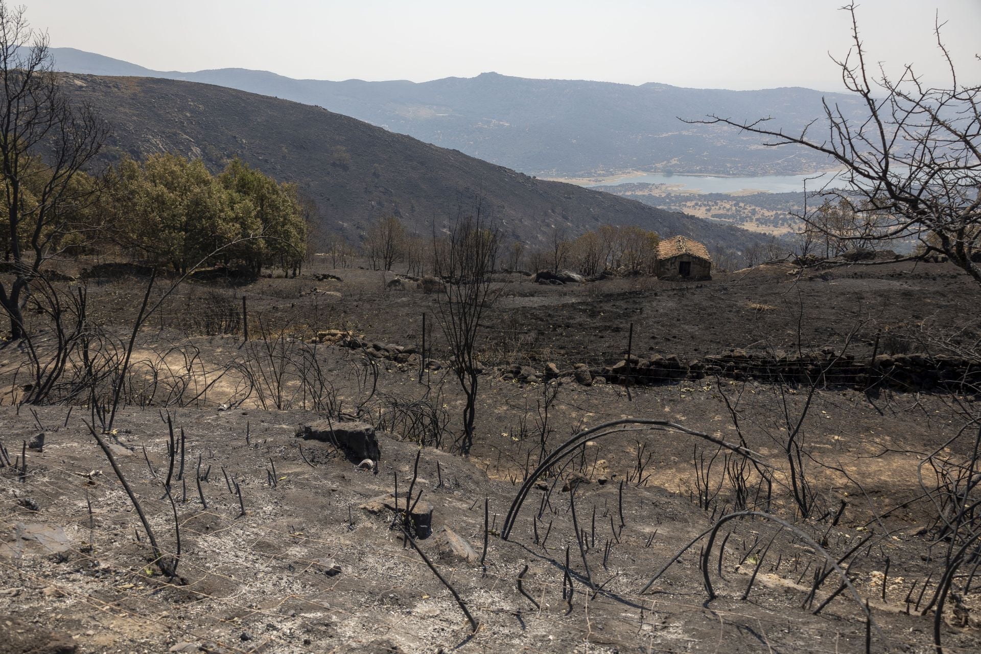 El incendio de Jarilla se da por extinguido 47 días después