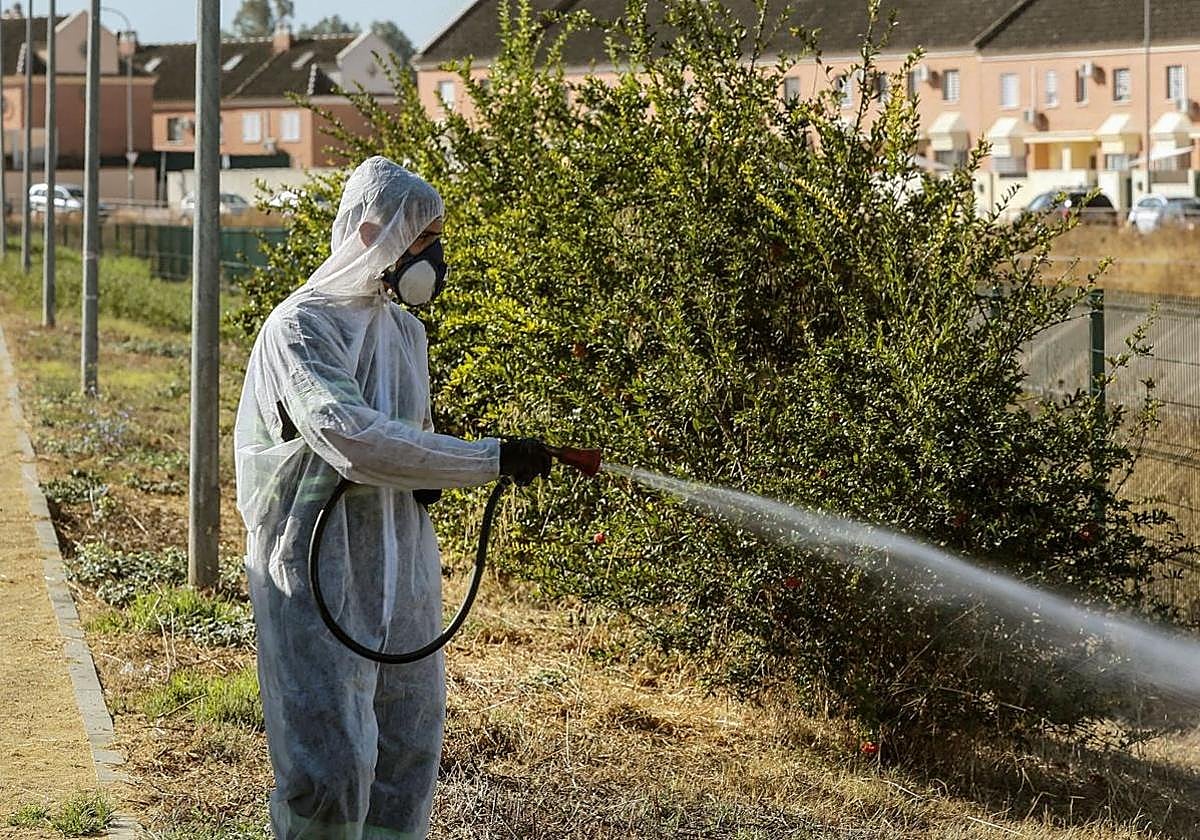Imagen de archivo de labores de fumigación en zonas verdes.
