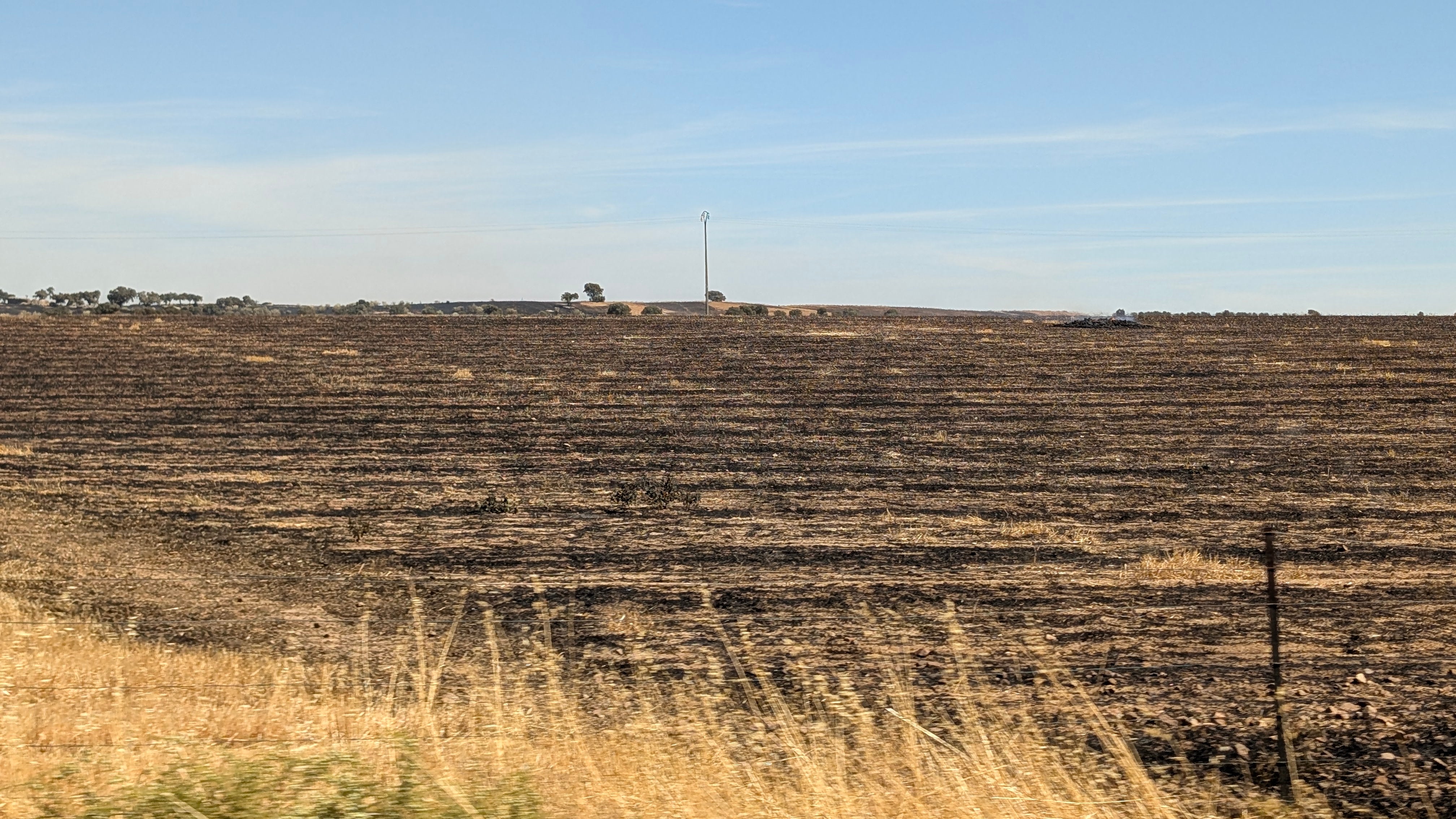 El incendio forestal de Don Benito, en imágenes