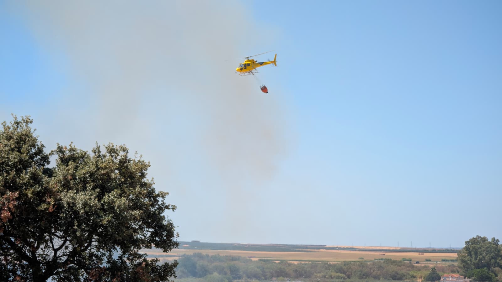 El incendio forestal de Don Benito, en imágenes