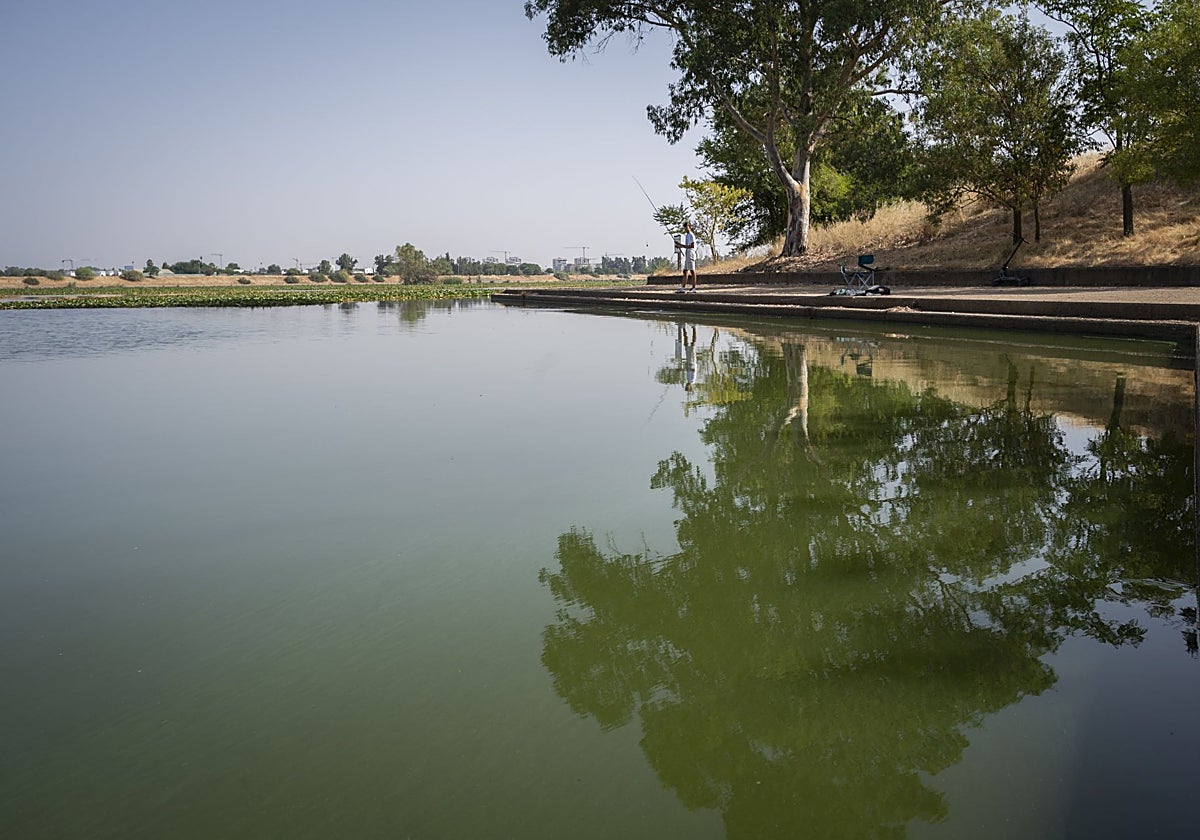 El río Guadiana, a la altura del club de Piragüismo en una imagen tomada este mes de agosto.