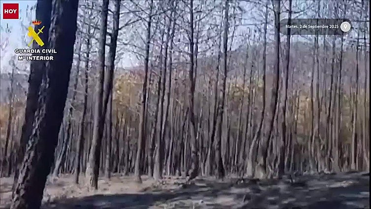 Cuatro detenidos y seis investigados por provocar 17 incendios en la provincia de Cáceres en los últimos meses