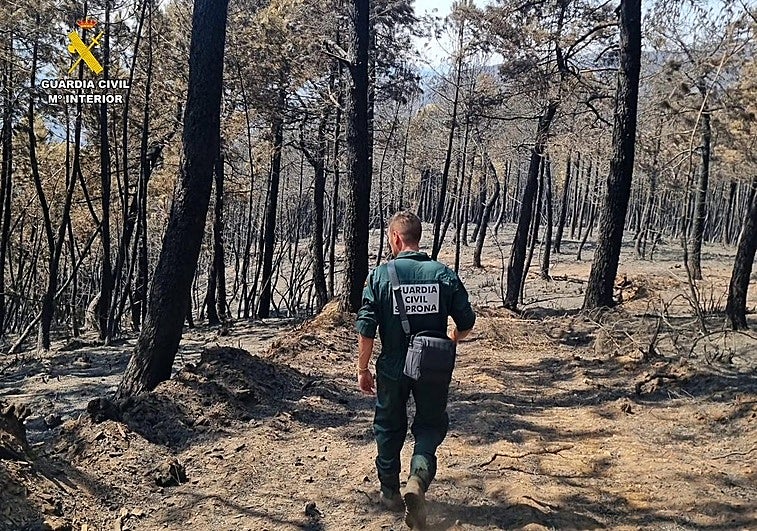 Cuatro detenidos y seis investigados por 17 incendios en la provincia de Cáceres en los últimos meses