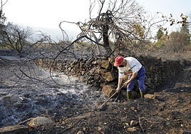 El incendio de Jarilla, en la imagen, dejó escenas desoladoras.