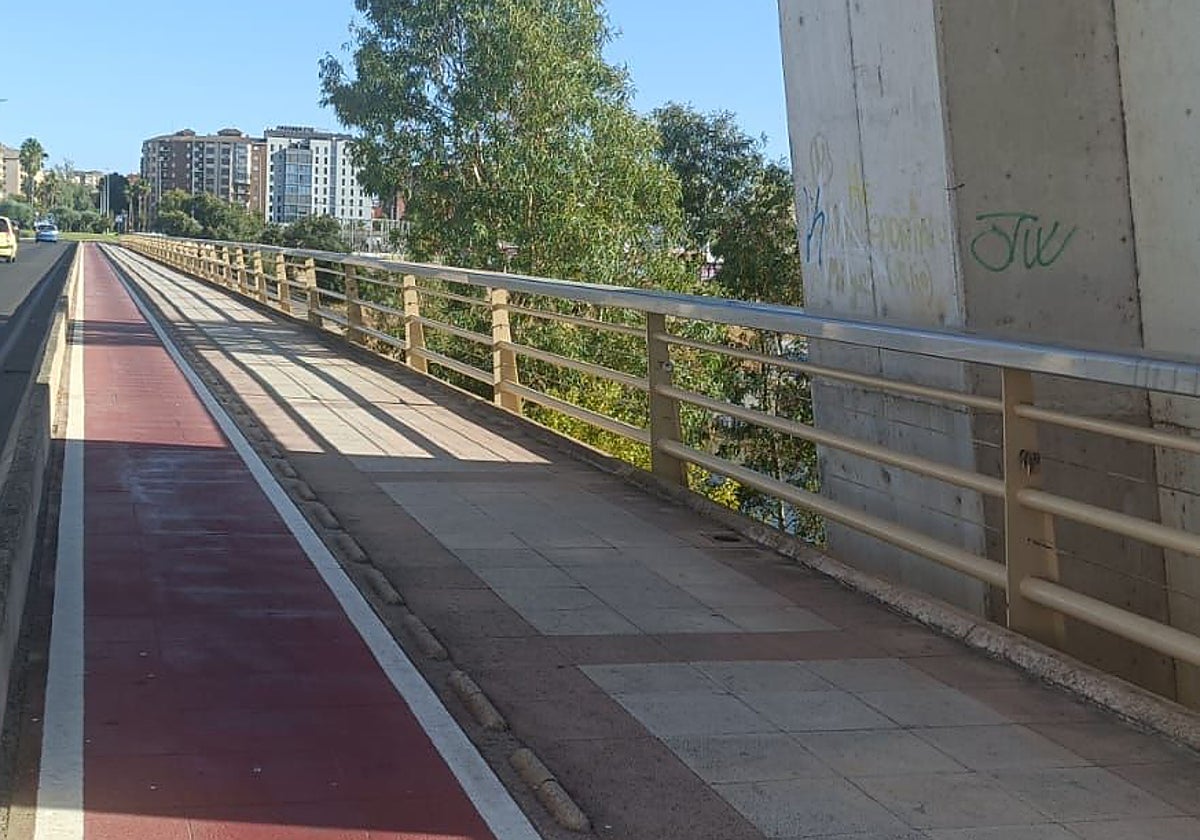 El hombre trató de precipitarse hacia el río desde la mitad del puente.