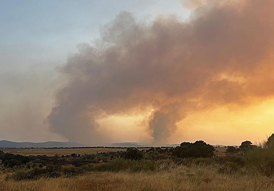 Incendio en Aliseda.