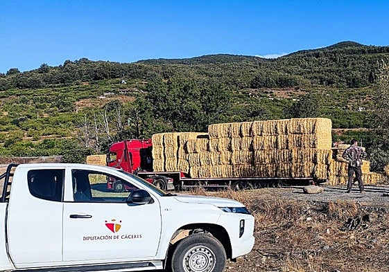 Reparto de pacas de paja.