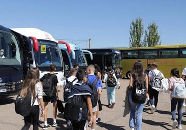 La Junta denuncia por lo penal a las empresas que no optan a 242 rutas de transporte escolar