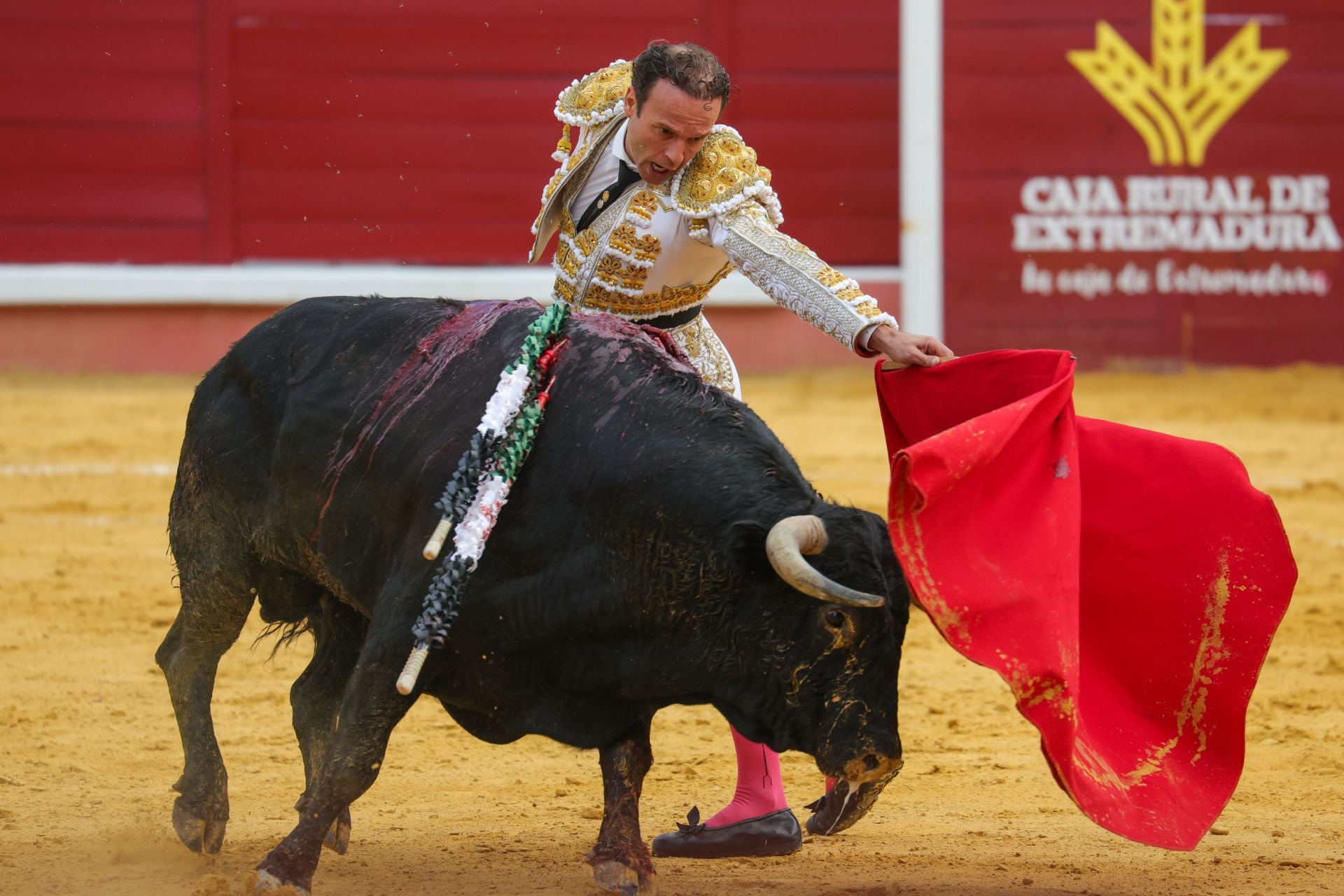 Fotos | Así fue la tarde de toros en Don Benito