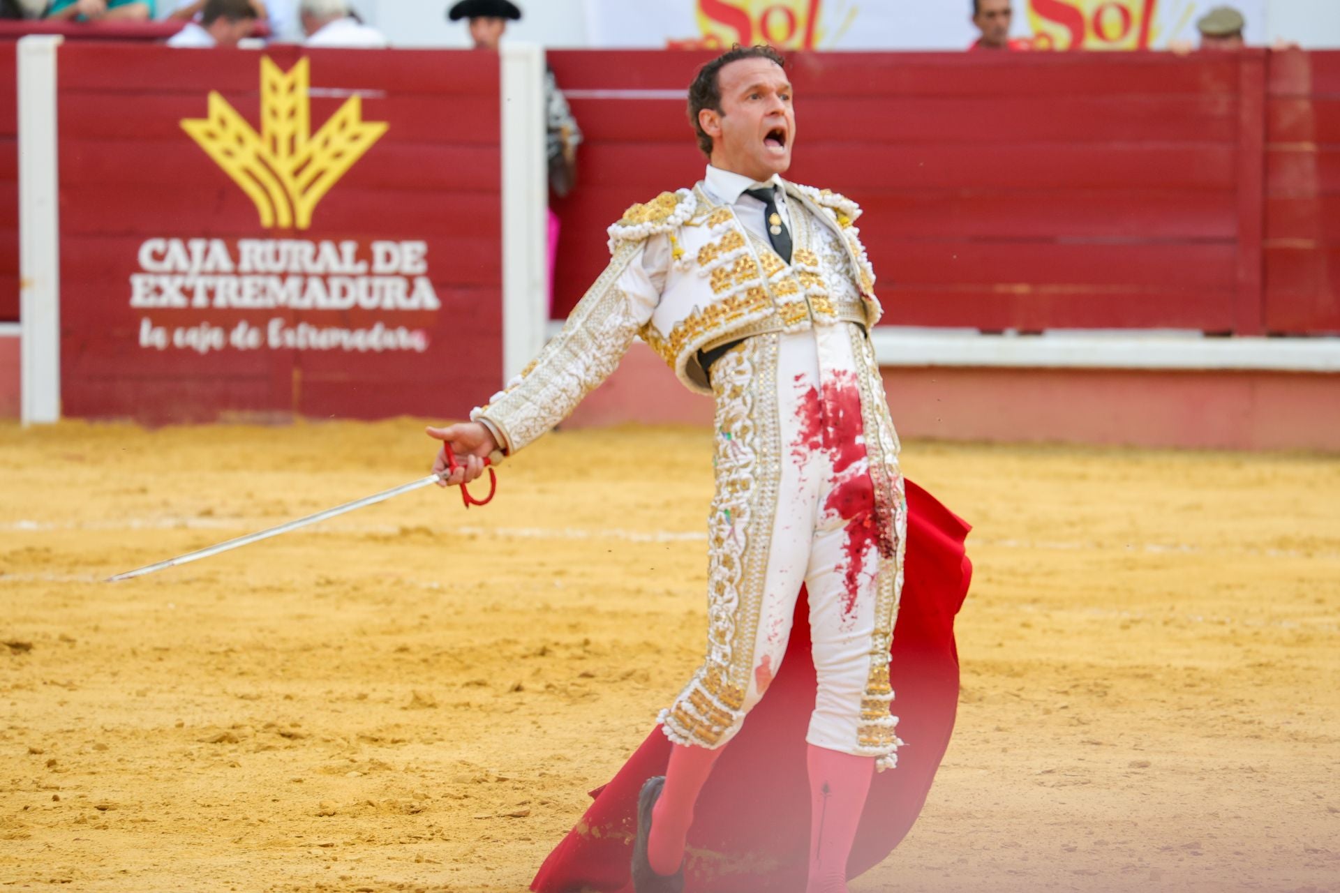 Fotos | Así fue la tarde de toros en Don Benito