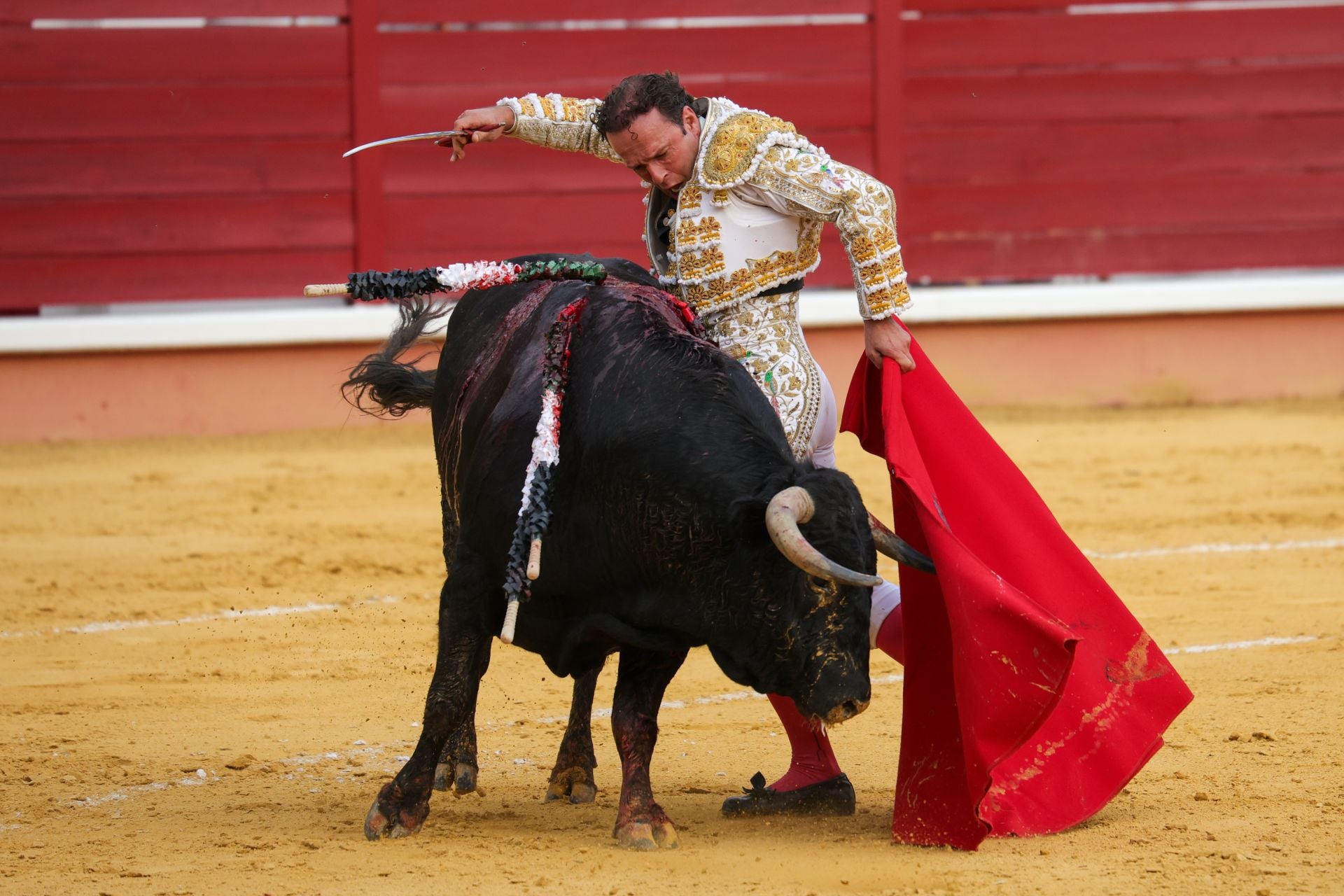 Fotos | Así fue la tarde de toros en Don Benito
