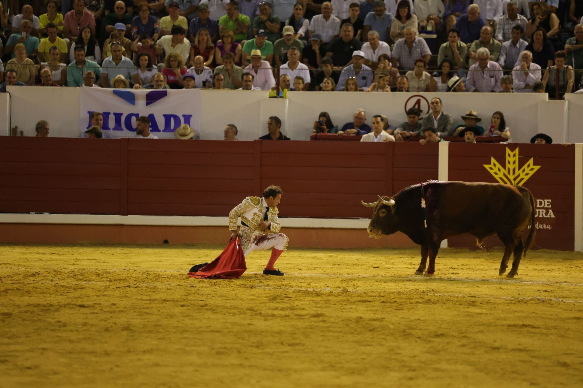 Fotos | Así fue la tarde de toros en Don Benito