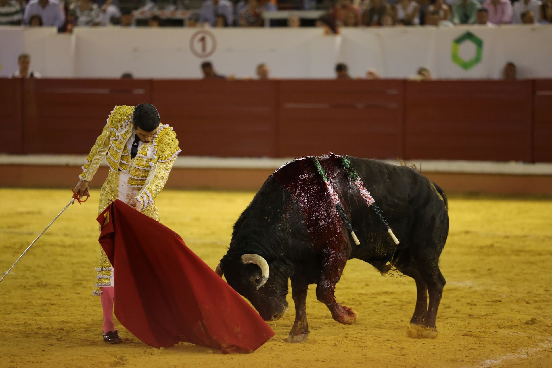 Fotos | Así fue la tarde de toros en Don Benito