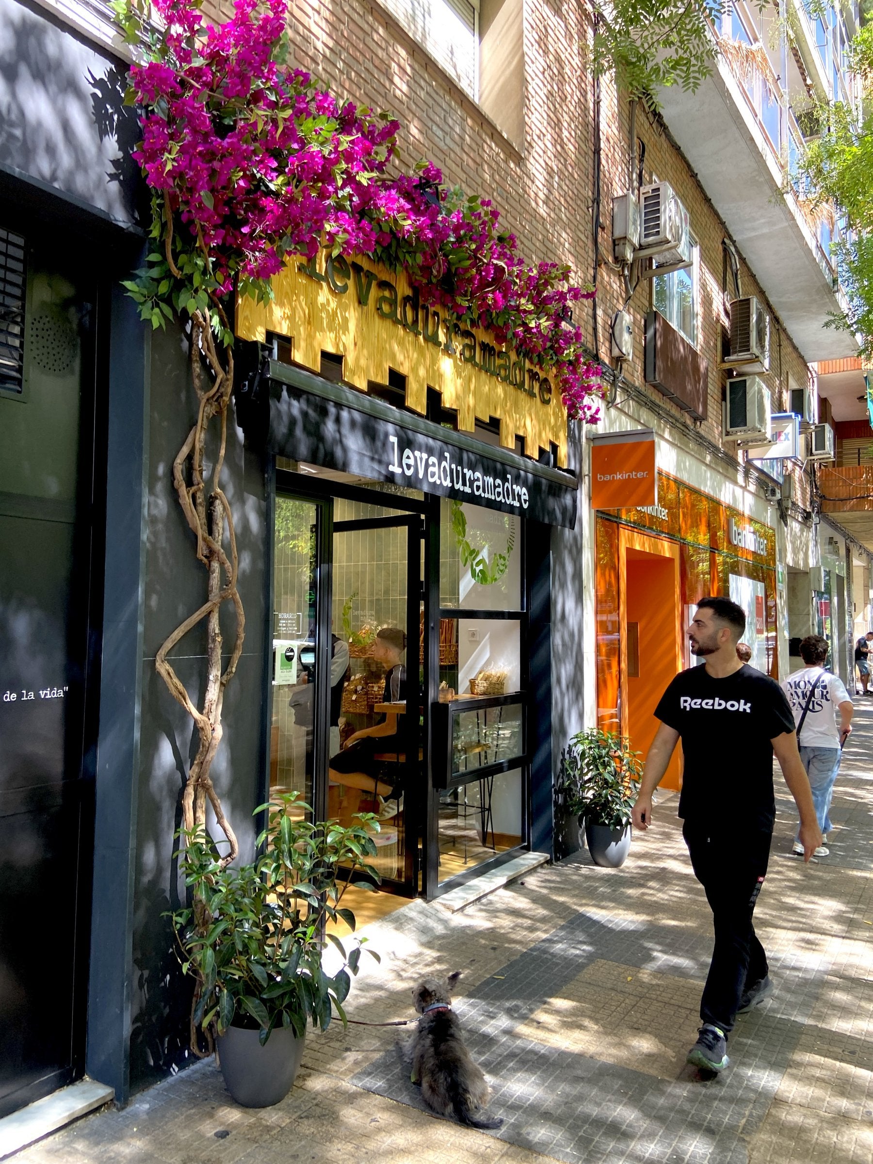 Panadería selecta recién abierta en Cáceres.