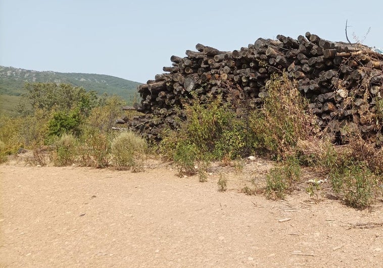 Montones de madera y restos de corta se apilan cerca de Navatrasierra desde hace años sin que nadie los retire