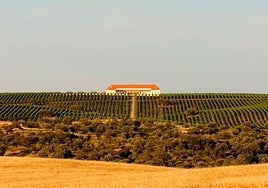 Bodega Palacio Quemado