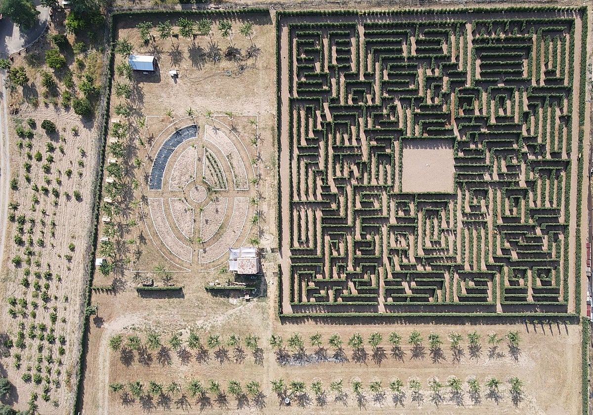 Vista aérea del laberinto de Huerta Ornamental Romana.