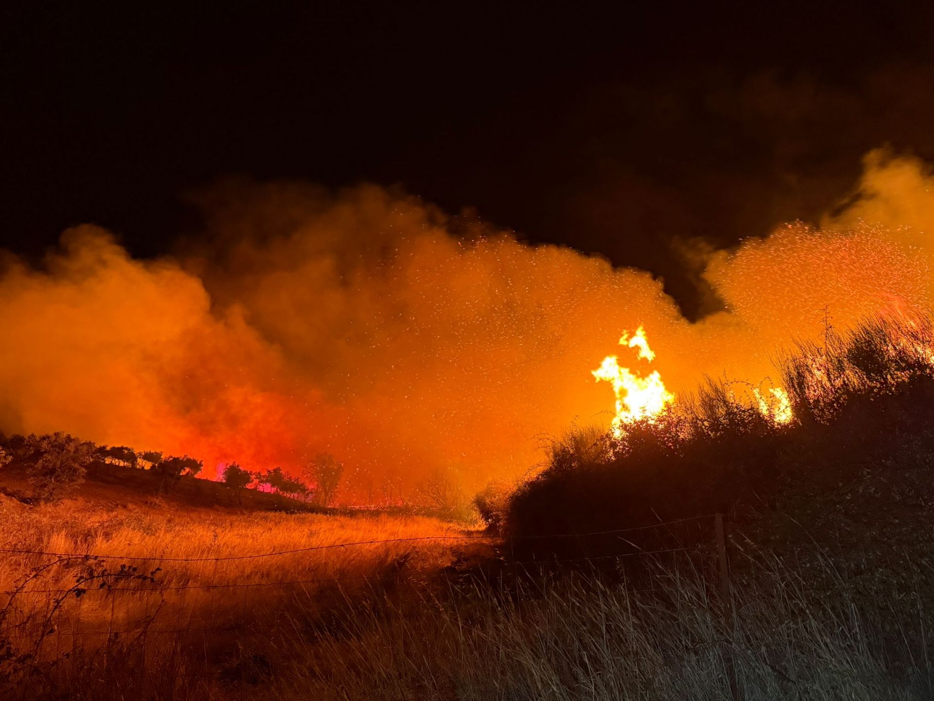 Imagen secundaria 1 - Un incendio arrasa 25 hectáreas de monte y cultivos en Perales del Puerto