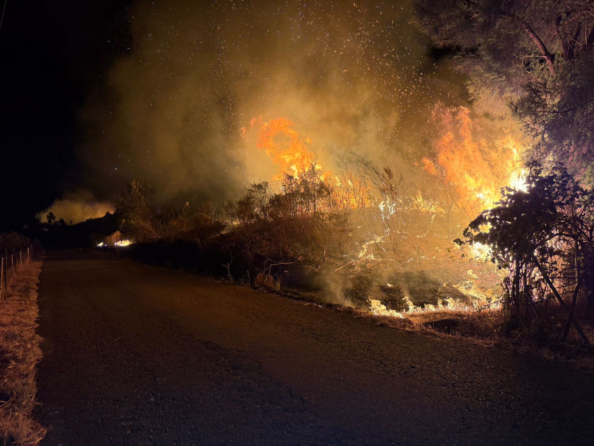 Imagen principal - Un incendio arrasa 25 hectáreas de monte y cultivos en Perales del Puerto