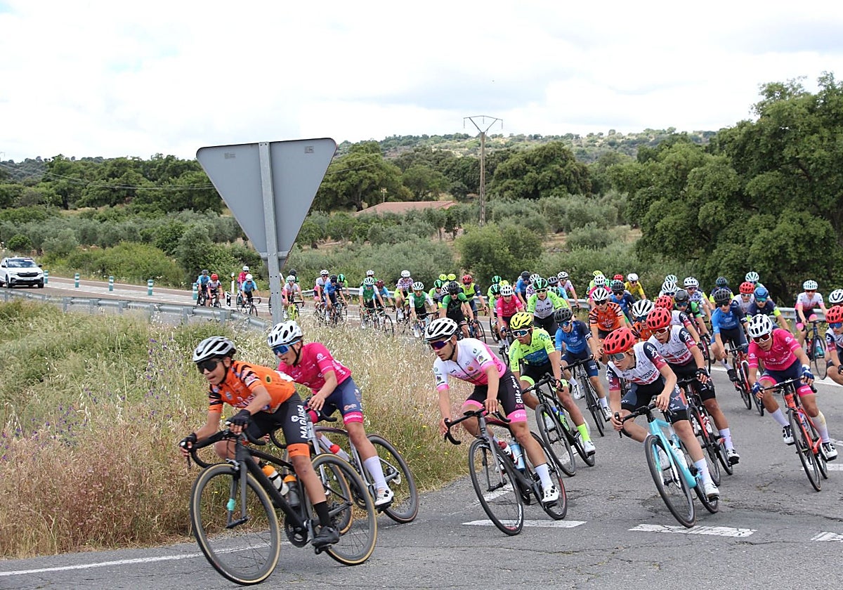 Participantes de la Vuelta a Extremadura Cadete en su edición de 2024.