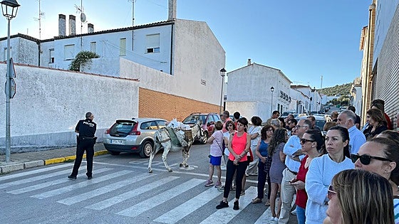 Tercera jornada sin transporte escolar para 5.000 alumnos extremeños