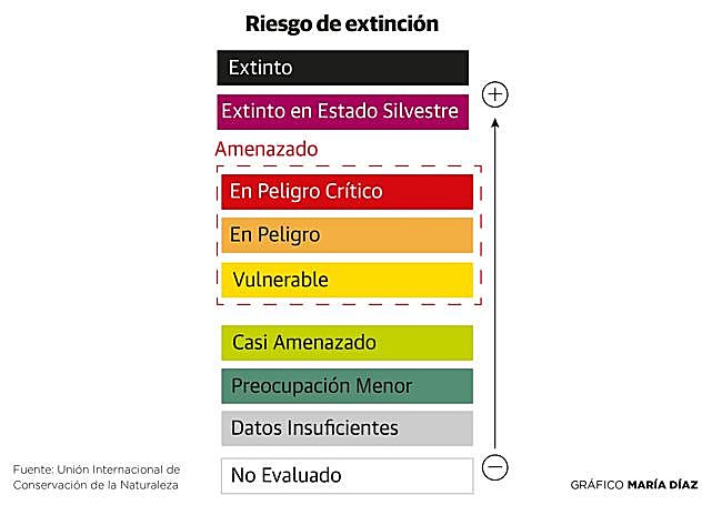 Niveles de riesgo de extinción