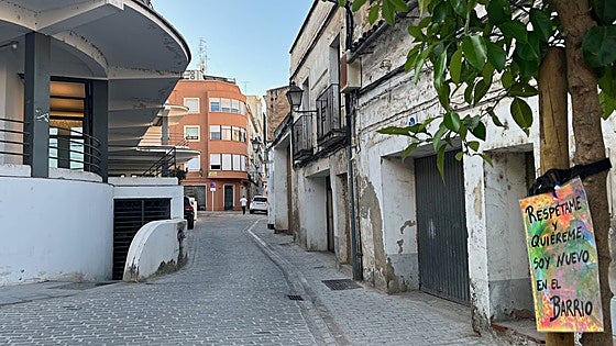 Vecinos del Casco Antiguo de Badajoz colocan carteles para pedir que se cuiden los árboles
