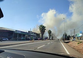 Los bomberos en su tarea de extinción de las llamas en el supermercado Provecaex.