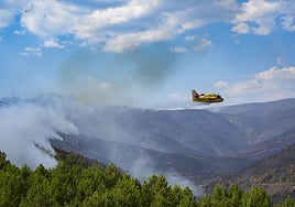 Un hidroavión interviene en el incendio de Caminomorisco a finales de julio.